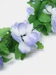 Вьюн