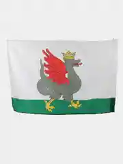 Флаг Казани