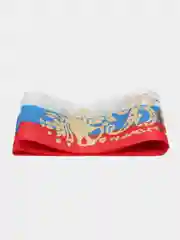 Разноцветный лента Выпускник, набор 5 штук