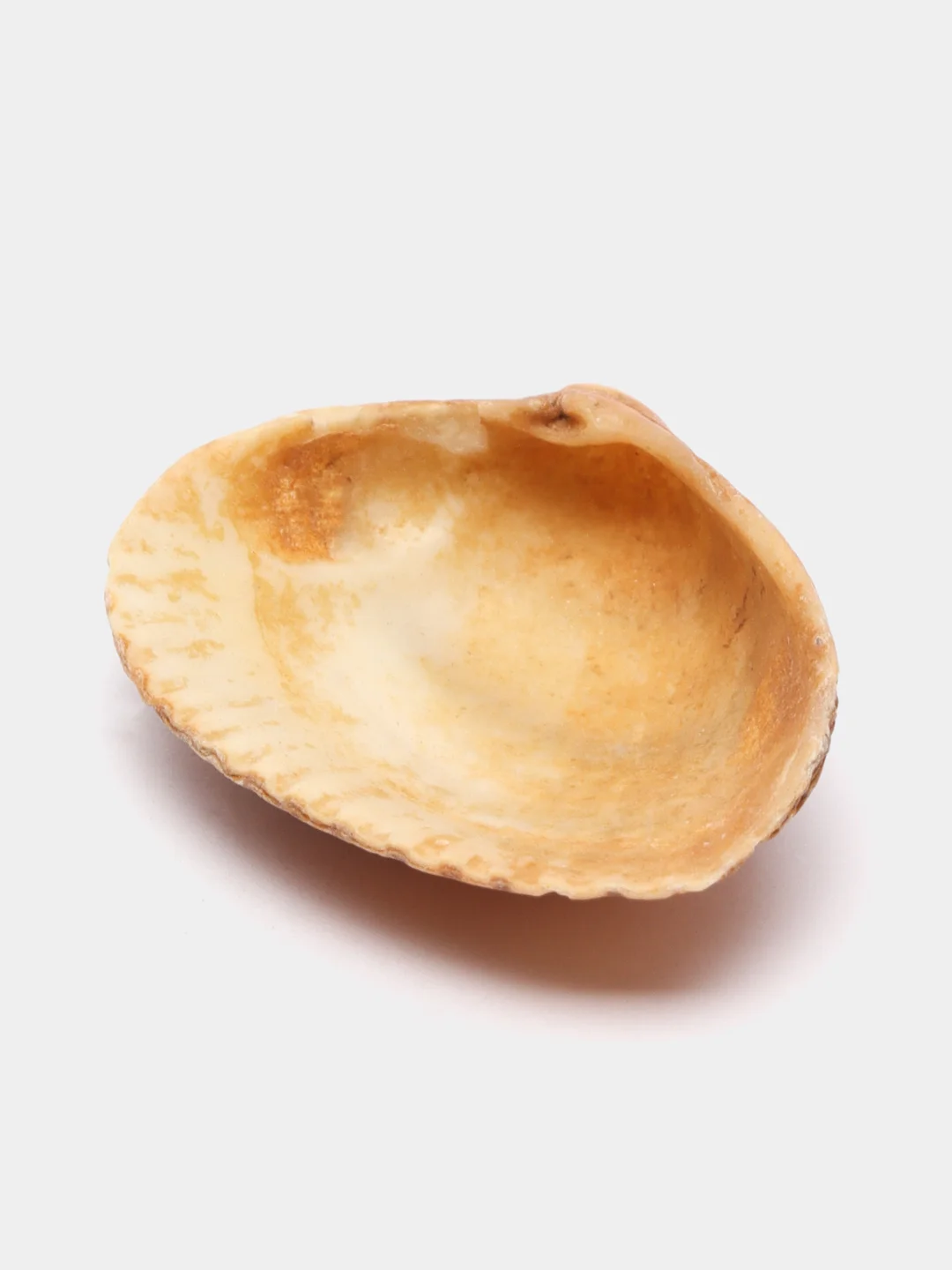 Ракушка морская, грунт для аквариума, 300 г