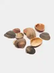 Ракушка морская, грунт для аквариума, 300 г