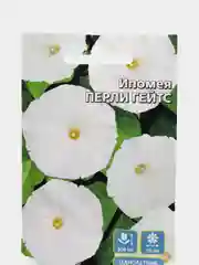 Ипомея Перли Гейтс, семена, цветы