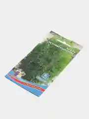 Кохия Летний кипарис (семена,цветы)
