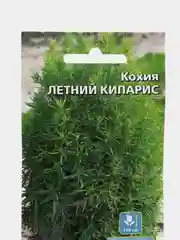 Кохия Летний кипарис (семена,цветы)