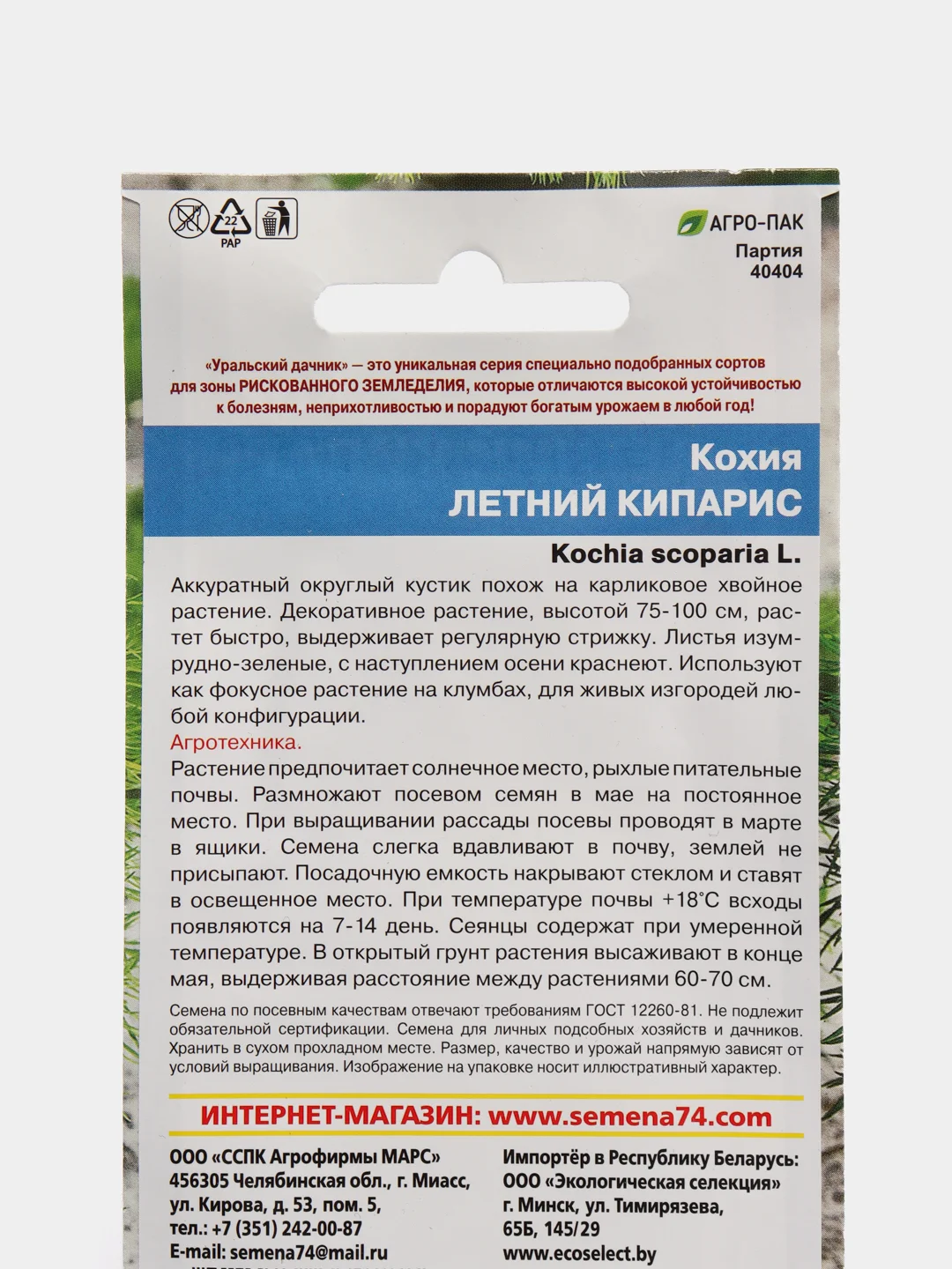 Кохия Летний кипарис (семена,цветы)