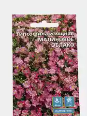 Гипсофила изящная "Малиновое облако", семена, цветы
