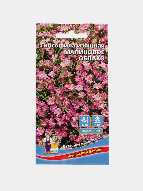 Гипсофила изящная "Малиновое облако", семена, цветы