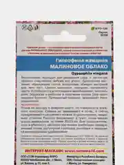 Гипсофила изящная "Малиновое облако", семена, цветы