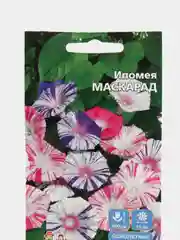 Ипомея Маскарад, семена, цветы