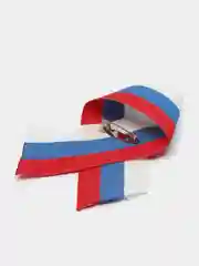 Рыжий георгиевская лента, брошь, значок, 9 мая, день Победы