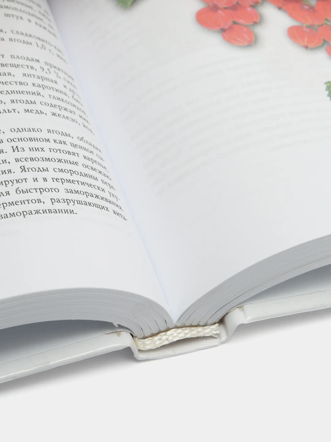 Книга Ягоды Беларуси. Справочник-определитель