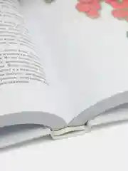 Книга Ягоды Беларуси. Справочник-определитель