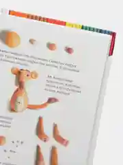 Книга Азбука из пластилина, лепим из пластилина. Развитие ребенка