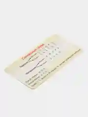 Бронзовый обучающая карточка-шпаргалка односторонняя "По русскому языку", 90*180 мм