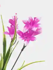 Фиолетовый искусственные цветы для декора, цветы для дома, трава осако с колокольчиком