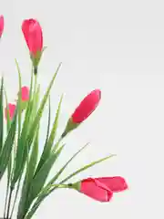 Вишнёвый искусственные цветы для декора, цветы для дома, трава осако с нераспустившимся тюльпаном
