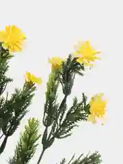 Желтый искусственные цветы для декора, мелкая ромашка