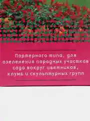 Газон "Элит Гринн" 1,0 кг, в коробке
