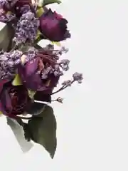 РОЗЫ (букет)