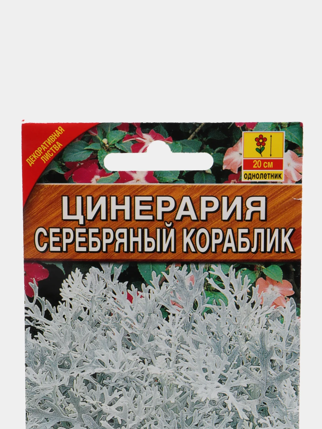 Семена "Цинерария Серебряный кораблик"