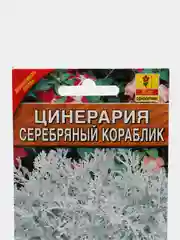Семена "Цинерария Серебряный кораблик"