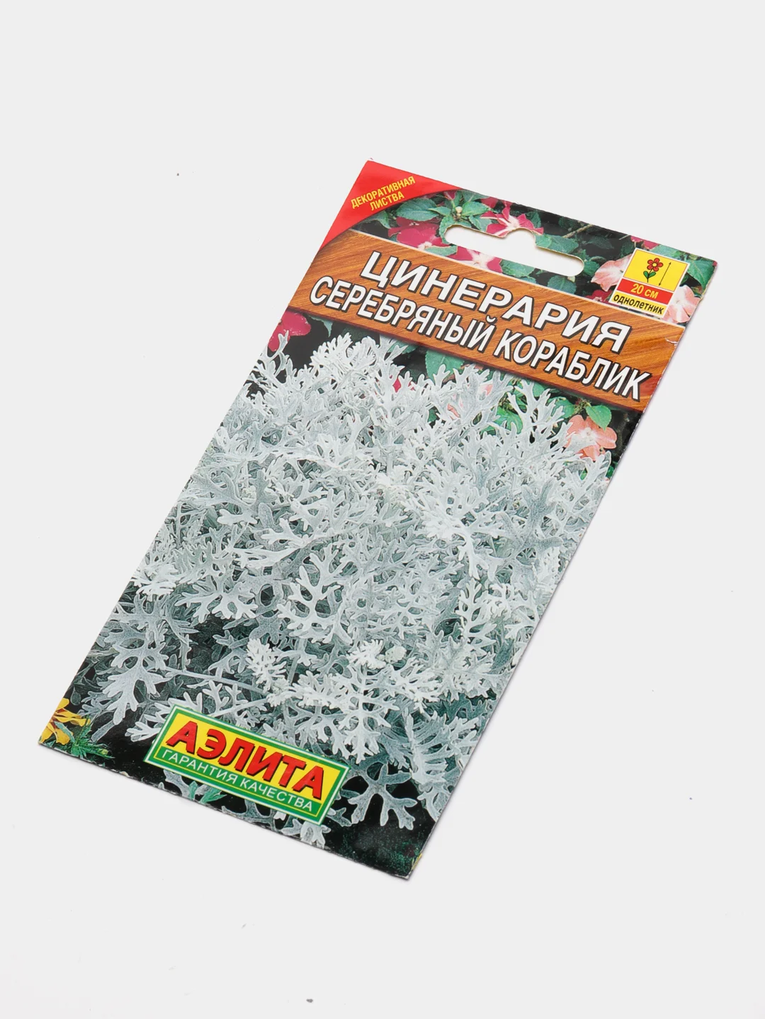 Семена "Цинерария Серебряный кораблик"