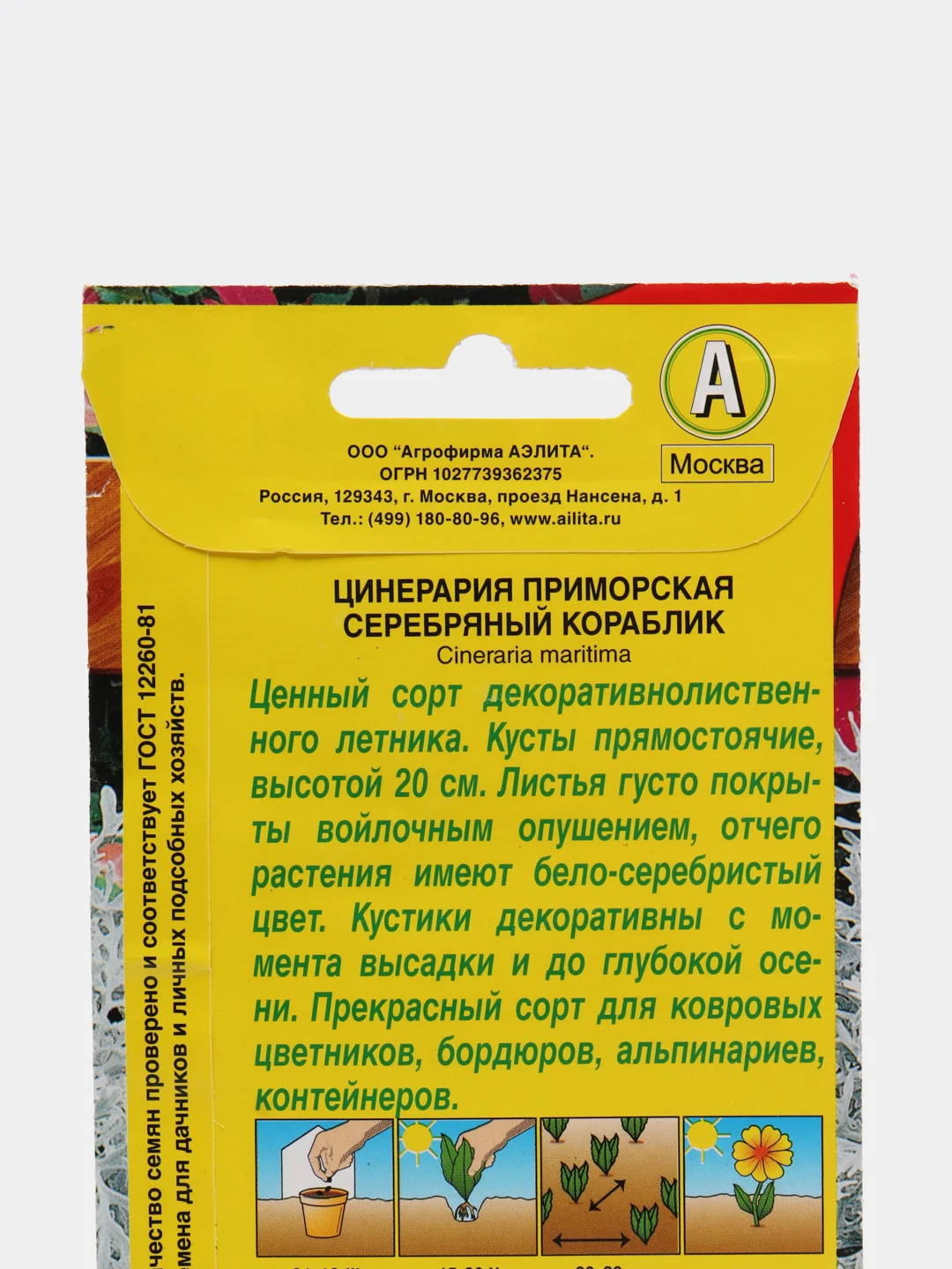 Семена "Цинерария Серебряный кораблик"