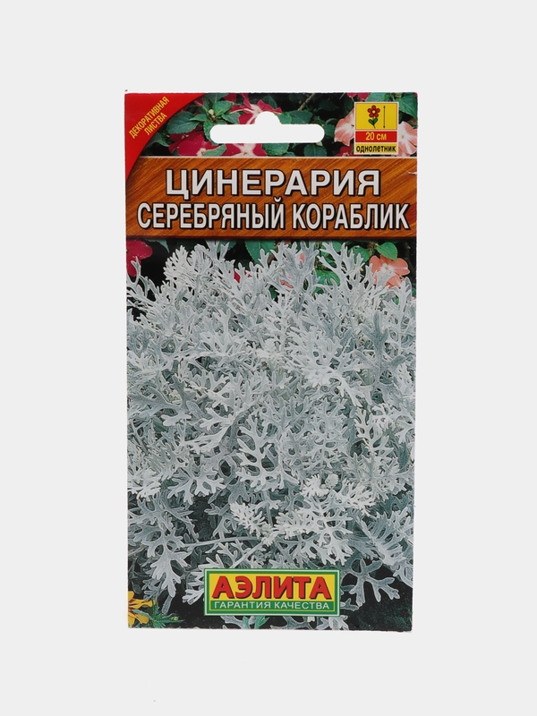 Семена "Цинерария Серебряный кораблик"