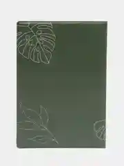 Тёмно-зелёный обложка на паспорт