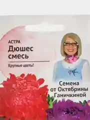 Семена Астры