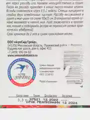 Семена Астры