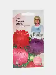 Семена Астры