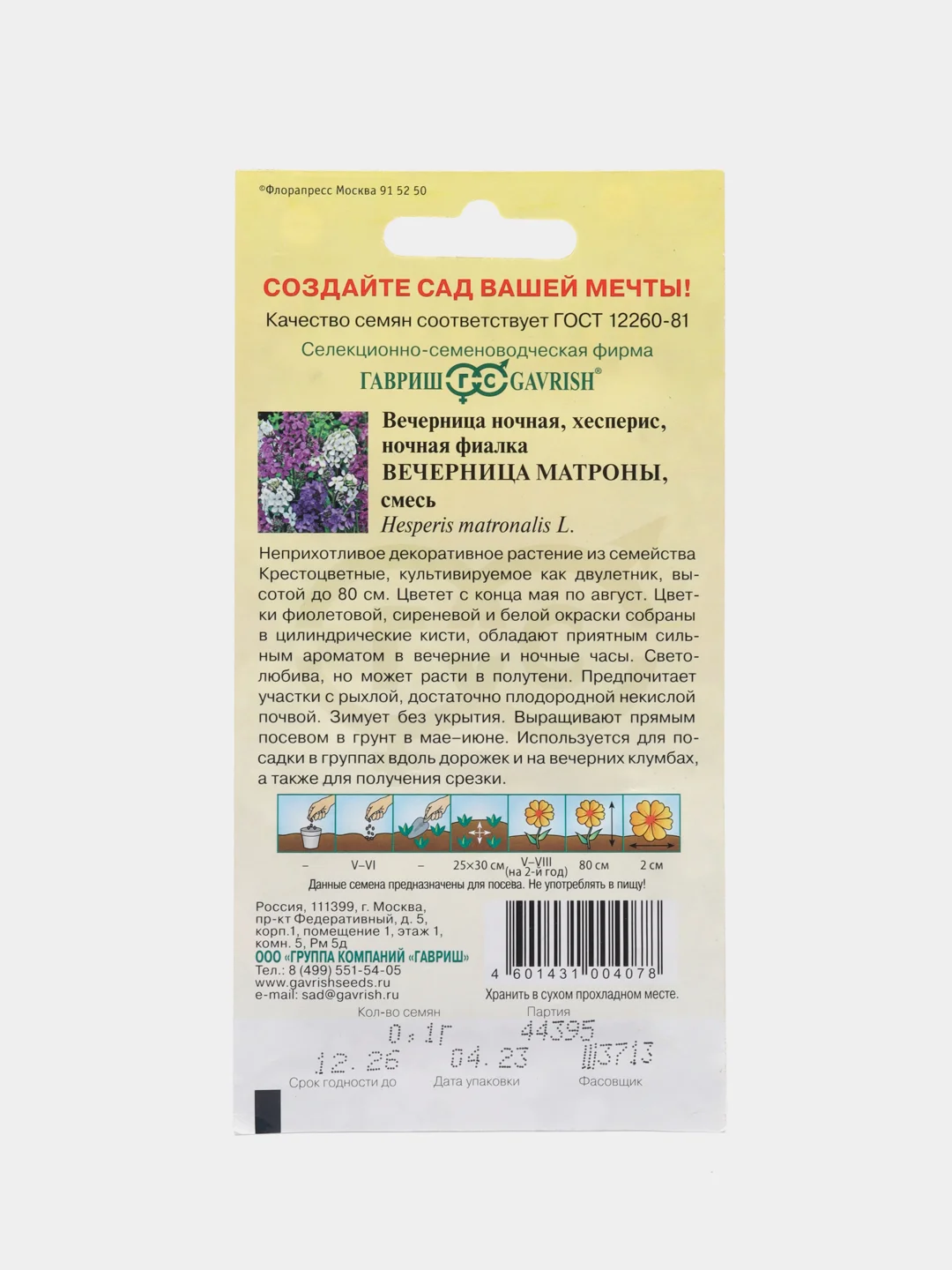 Вечерница ночная Вечерница Матроны (семена, цветы, хесперис)