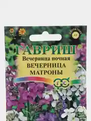 Вечерница ночная Вечерница Матроны (семена, цветы, хесперис)
