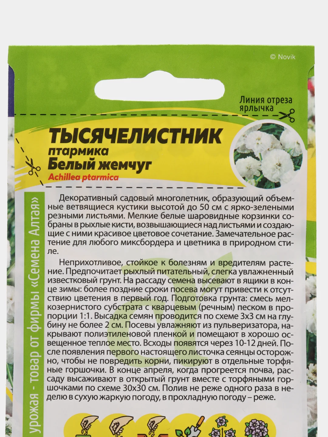 Тысячелистник "Белый жемчуг", семена, цветы