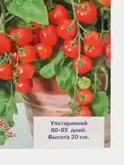 Томат Домашний огород, семена