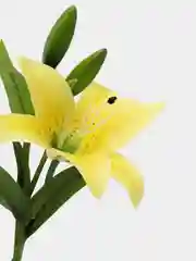 Желтый искусственные цветы, лилии