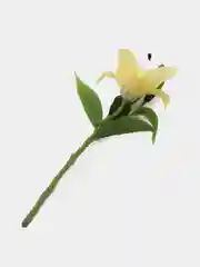 Желтый искусственные цветы, лилии