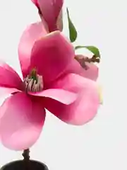 Тёмно-розовый искусственные цветы магнолия