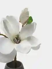 Белый искусственные цветы магнолия