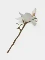 Белый искусственные цветы магнолия