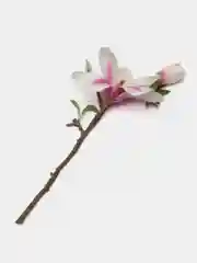 Розовый искусственные цветы магнолия