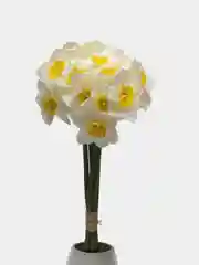 Белый искусственные цветы, нарциссы