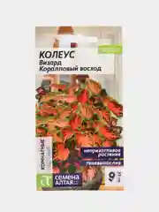 Колеус Визард "Коралловый Восход", семена, цветы
