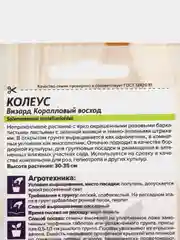Колеус Визард "Коралловый Восход", семена, цветы