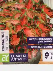Колеус Визард "Коралловый Восход", семена, цветы