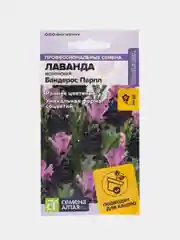 Лаванда Бандерос Парпл испанская (семена,цветы)