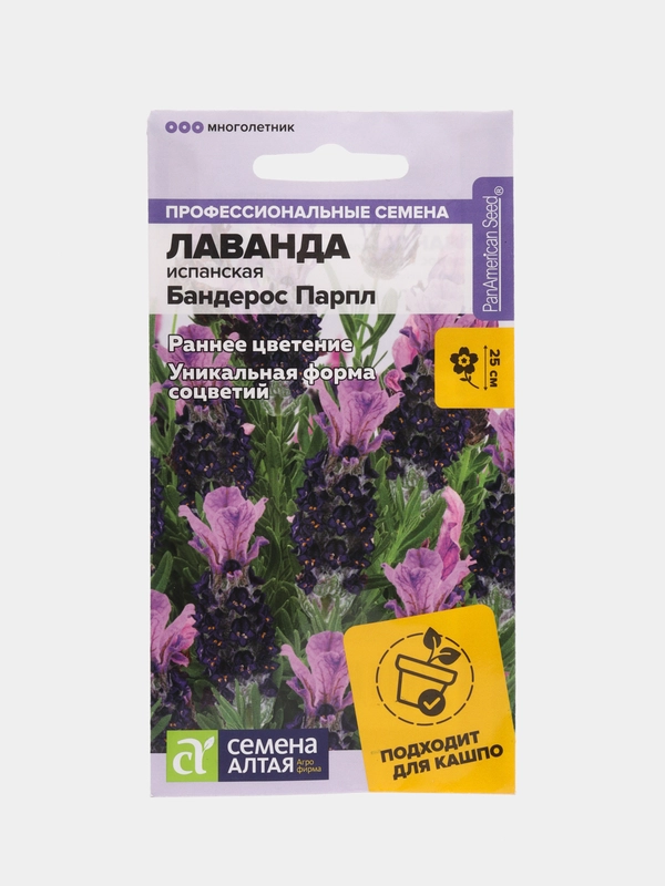 Лаванда Бандерос Парпл испанская (семена,цветы)