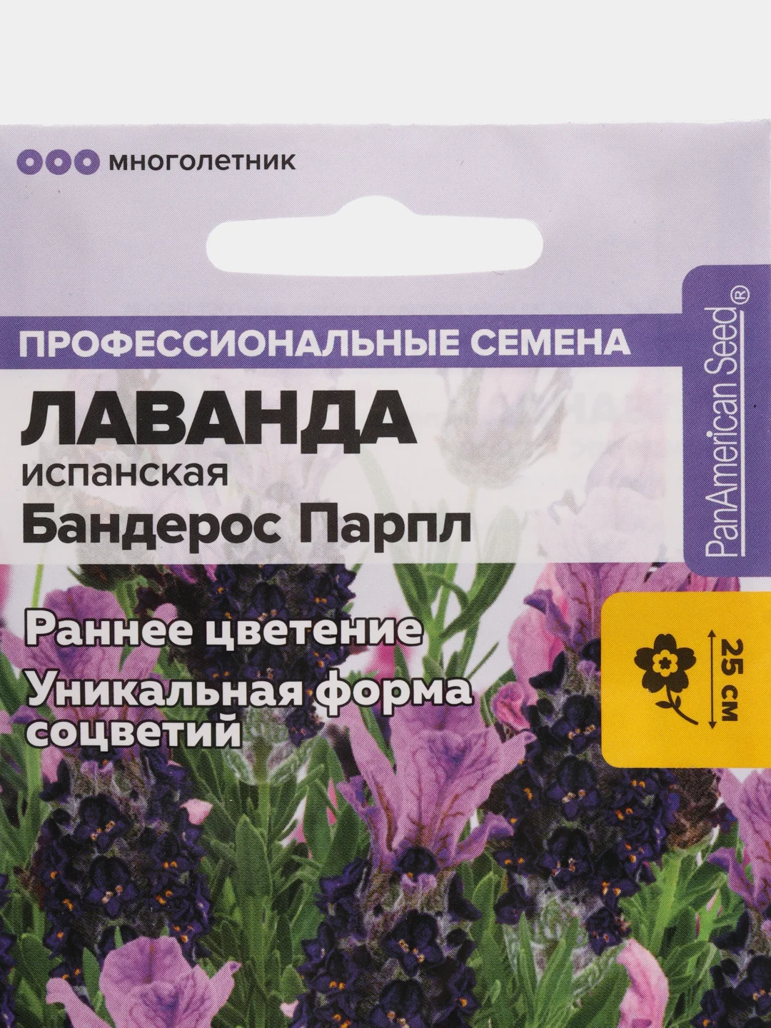 Лаванда Бандерос Парпл испанская (семена,цветы)