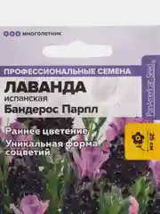 Лаванда Бандерос Парпл испанская (семена,цветы)